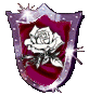 White Rose