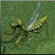  (mantis) - . 